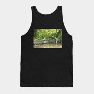 Shi La Tank Top